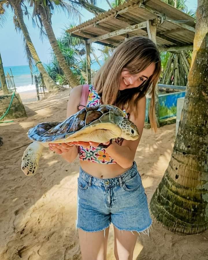 Ceylon Serenity Villas 베루왈라 외부 사진
